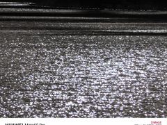 -羊山湖公园