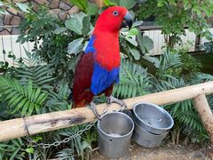 -南宫五洲植物乐园