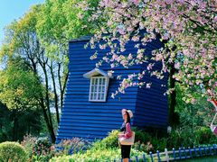 -铁山坪森林公园