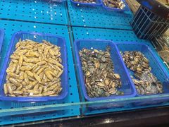 -老山东·山东菜(鲁菜名店)