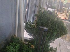 -蘇河湾·新鲁菜·泰山宴(泰山店)