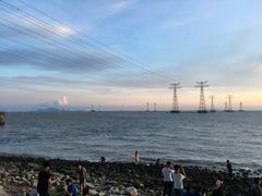 -宝安西湾红树林湿地公园