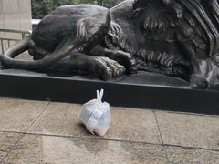 -宠颐生汉谟拉比宠物医院