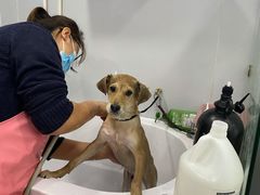 -宠颐生中康贝怡动物医院