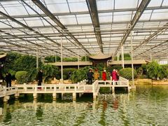 -玉祥府牛肉罩饼(金光道店)