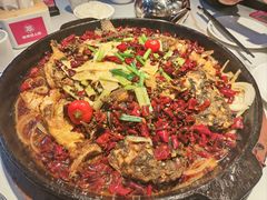 -老板恋上鱼(高新万达店)