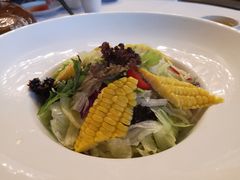 蔬菜色拉-沪碟·精菜坊(闵行店)