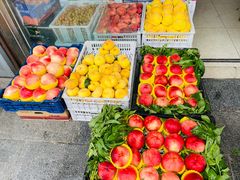 -岳各庄批发市场(西四环中路店)