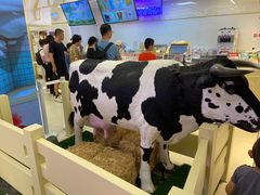 -红星前进面包牛奶公司(君太店)