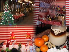 -海合安武汉极地海洋公园