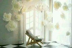 -星光贝贝(万达店)