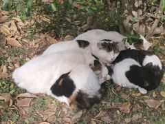 -长安大学(北校区)