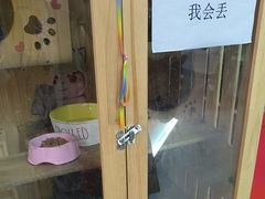 -203密室体验馆·逃脱·聚会·亲子(工体店)