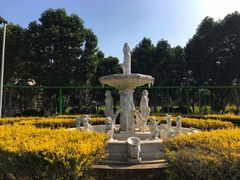 -百万葵园