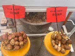 -瑞丰园庭院餐厅·白族传统家常菜