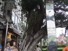 老榕树-淡水老街