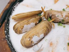 -阿毛饭店(和义路店)