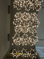 -郑州万安妇产医院