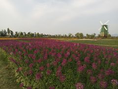 -漩门湾国家湿地公园