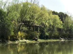 -新江湾城公园