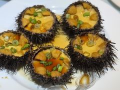 -日月昇渔家菜·海肠捞饭·大连海鲜(星海公园店)