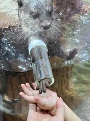 -Zoolung Zoolung动物主题公园(海信广场店)