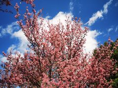 -天龙八部武侠城