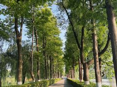 -洋湖国家湿地公园