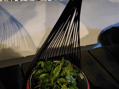 水豆豉薄荷-素心小筑(后沙裕镇店)
