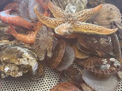 -锅老头铁锅炖•大锅蒸汽海鲜(韩乐坊店)