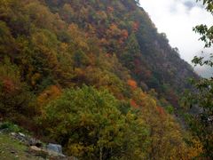 -叠溪松坪沟景区