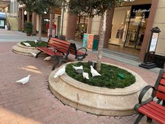 -王府井奥莱临潼小镇(临潼店)