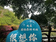 -西双版纳原始森林公园