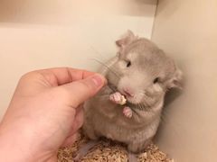 -龙猫仔乐园(惠福东路店)