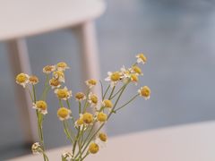 -KYO COFFEE(胶州路店)