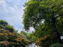 -岳麓山风景名胜区