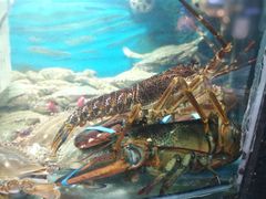 -富港会·海鲜酒楼(墟沟店)