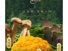 -汇德隆银隆