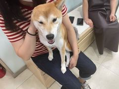 -宠福鑫康馨动物医院·骨科·眼科