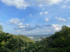 -大屏嶂森林公园