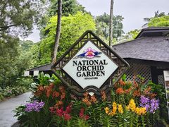 -新加坡植物园
