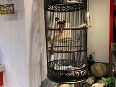 -清真·京华源铜锅涮肉(丰庆店)