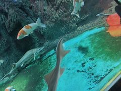 -威海华夏城景区