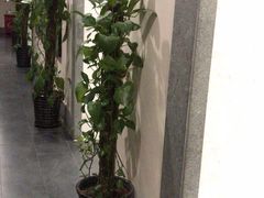 -秦汉胡同书法古筝围棋国画书院(宝地分馆)