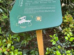 -北极阁公园