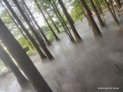-东湖落雁景区