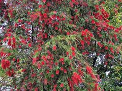 -怡海公园(桂城街道)