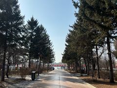 -长春市南湖公园