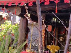 -尽善百年古院餐厅(王家老宅店)
