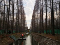 -东平国家森林公园